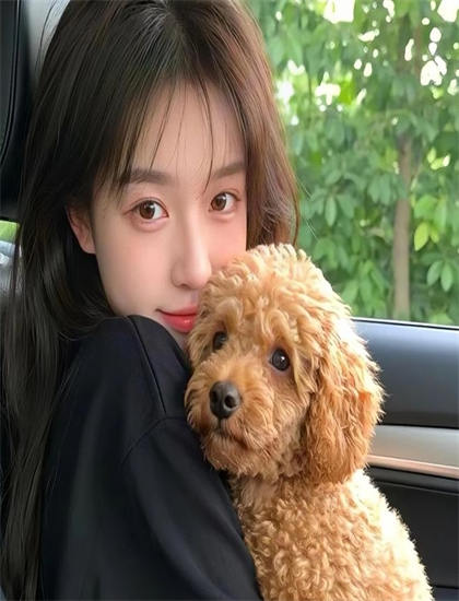 经典必看：《手机刑事钱形舞》IP的版权开发与商业价值——深度体验的观影秘籍