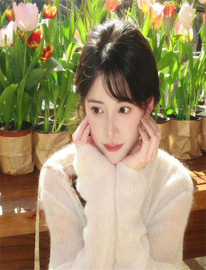 全面解析：《西部侠情》的审美特点与艺术成就——影视专业人士深度解读